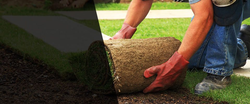 Kingwood Landscapers
